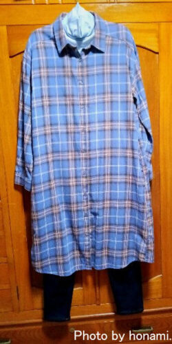 ハニーズチェックシャツワンピースのコーディネート写真