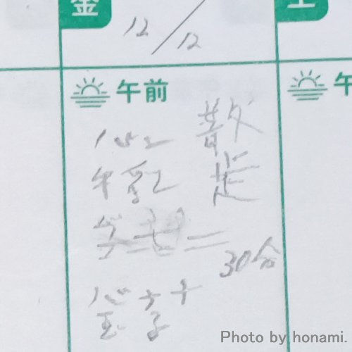 一日遅れで描く日記 拡大表示