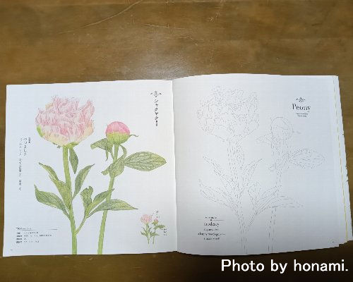塗り絵 見開き